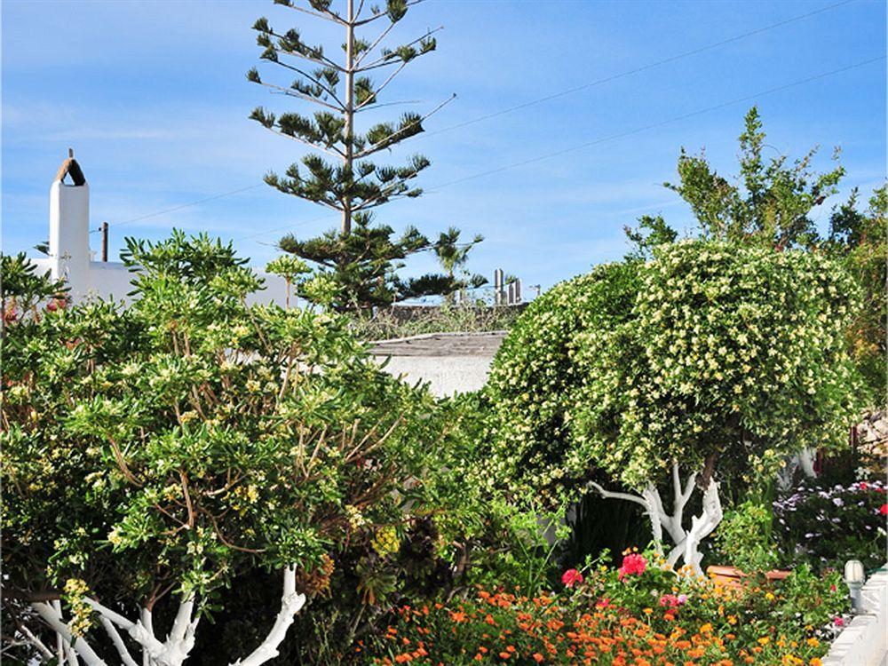 Dimitra Pension Mykonos Town Buitenkant foto
