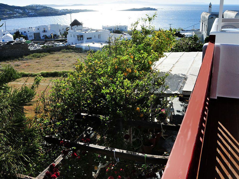 Dimitra Pension Mykonos Town Buitenkant foto